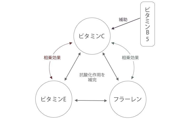 特長成分による相乗効果