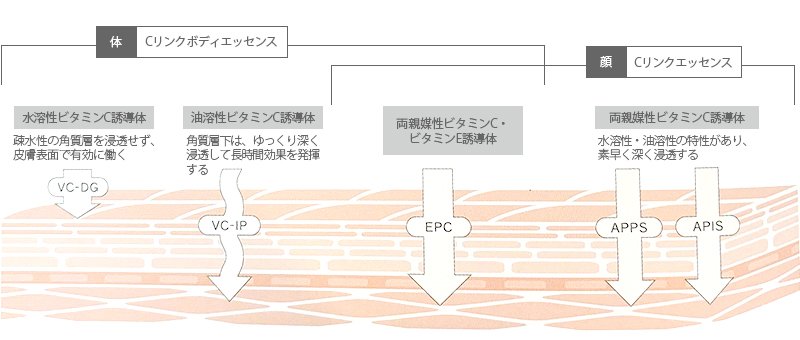 顔と体の違いに合わせた最適化