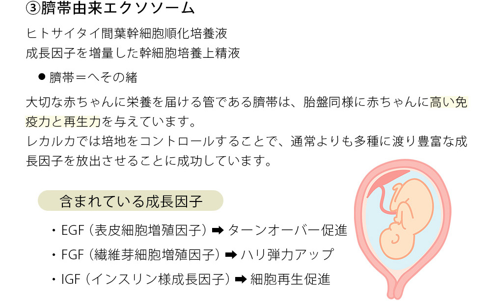 ③臍帯由来エクソソーム ヒトサイタイ間葉幹細胞順化培養液 成長因子を増量した幹細胞培養上精液 　● 臍帯＝へその緒
大切な赤ちゃんに栄養を届ける管である臍帯は、胎盤同様に赤ちゃんに高い免疫力と再生力を与えています。レカルカでは培地をコントロールすることで、通常よりも多種に渡り豊富な成長因子を放出させることに成功しています。 含まれている成長因子 ・EGF（表皮細胞増殖因子）➡ターンオーバー促進 ・FGF（繊維芽細胞増直因子）➡ハリ弾力アップ ・IGF（インスリン様成長因子）➡細胞再生促進